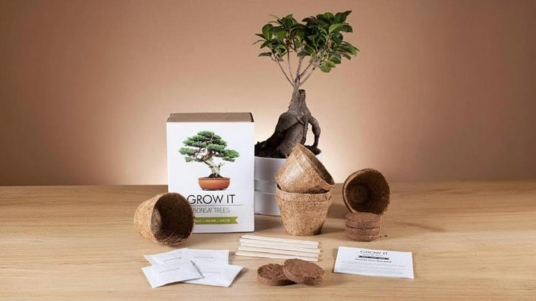Grow it Bonsai sada na pestovanie bonsaja s kvetináčmi a semienkami ako kreatívny darček pre milovníka rastlín na produktovej fotografii.